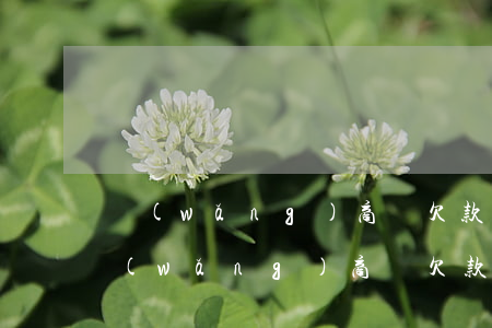 網(wǎng)商貸欠款還不上，陷入困境：網(wǎng)商貸欠款無力償還，該如何解決？